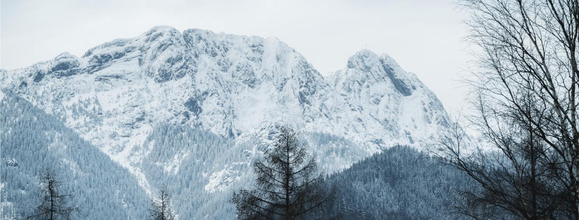 Visitzakopane - Willa Bajka Apartments Kültér fotó